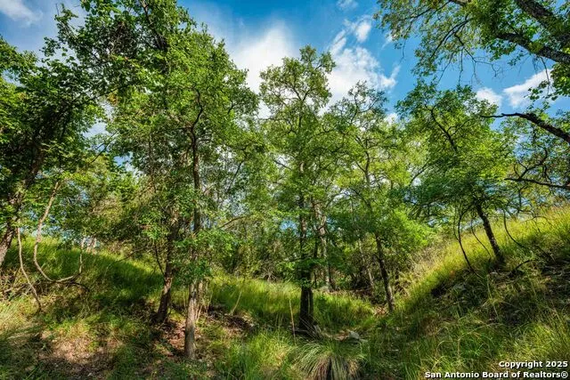 0 FM 1888 Blanco, TX 78606